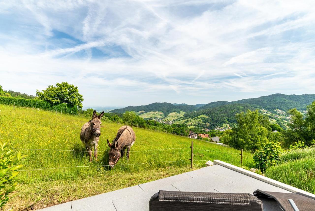 Merzel'S Schone Aussicht Bühlertal Zewnętrze zdjęcie