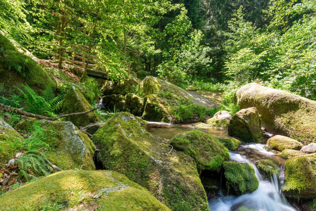 Merzel'S Schone Aussicht Bühlertal Zewnętrze zdjęcie